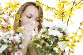 Alleviate Your Allergies With These Simple Tips by Okulista.Wroclaw.pl
