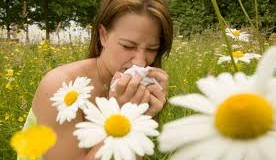 Looking For Information On Fighting Allergies? Check Out These Tips! – Okulista Wroclaw